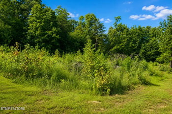 258 Buckner Rd, Philadelphia, TN 37846