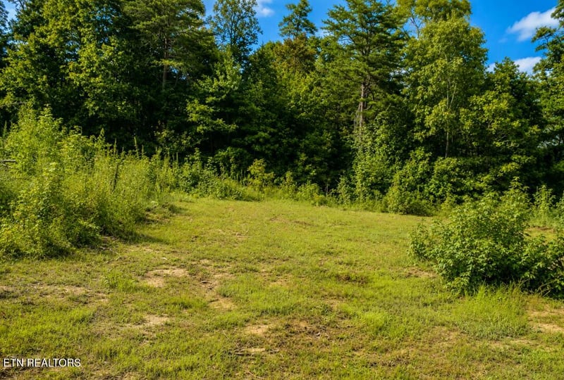 258 Buckner Rd, Philadelphia, TN 37846