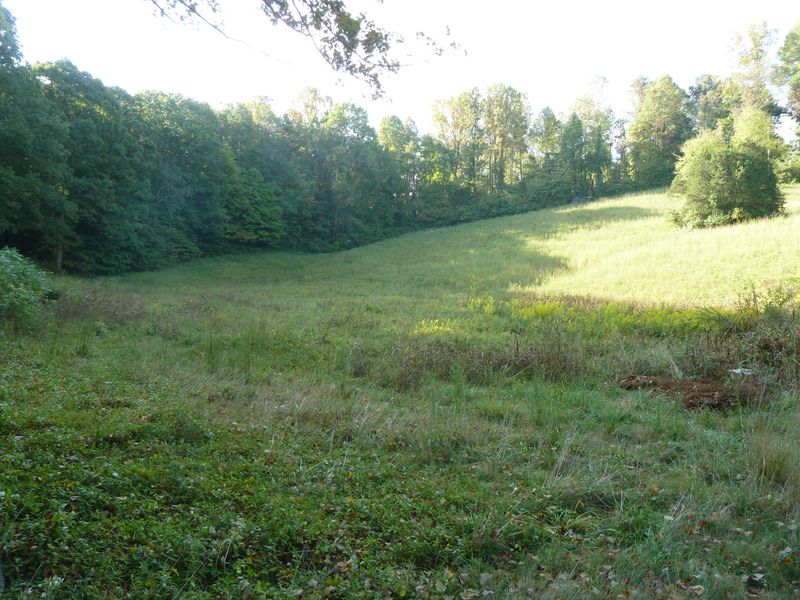 258 Cruze Rd, Powell, TN 37849