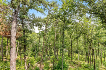 2586 Rogers Way, Sevierville, TN 37876