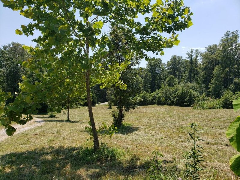 259 Pleasant Hill Rd, Philadelphia, TN 37846