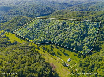 259 Walden Hollow Ln, Lafollette, TN 37766