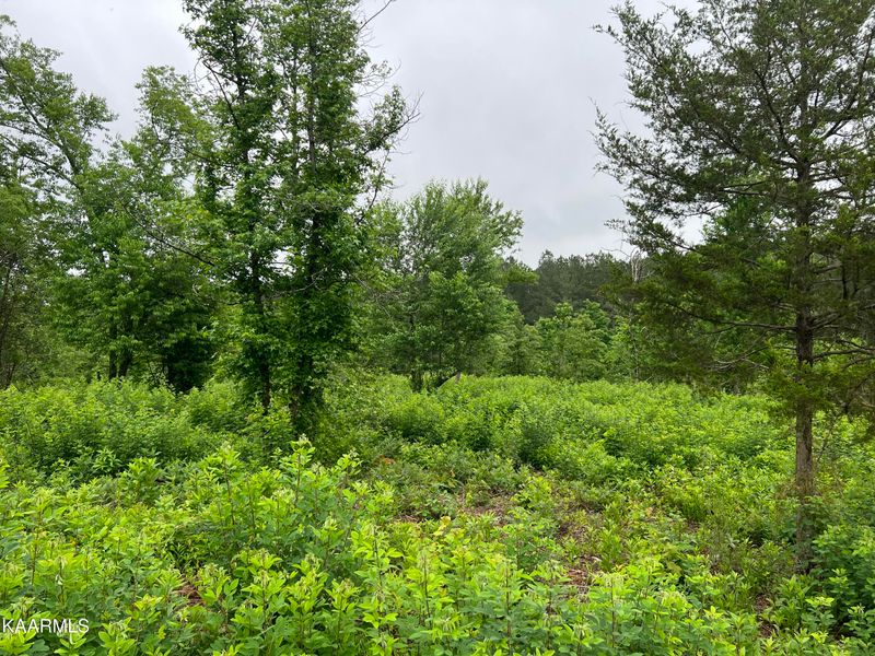 25998 E Watkins Rd, Loudon, TN 37774