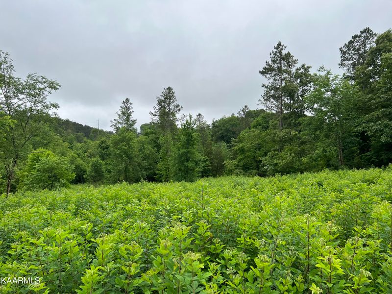 25998 E Watkins Rd, Loudon, TN 37774