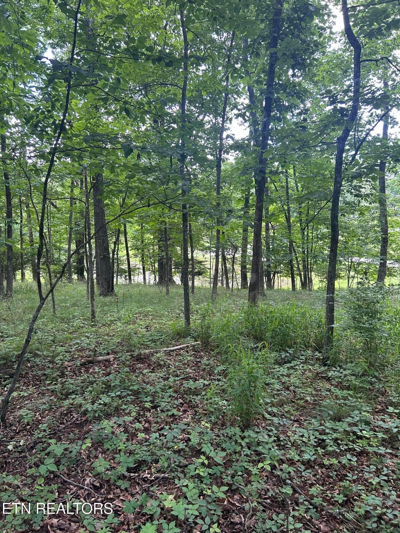 26 Rolling Green Ct, Fairfield Glade, TN 38558