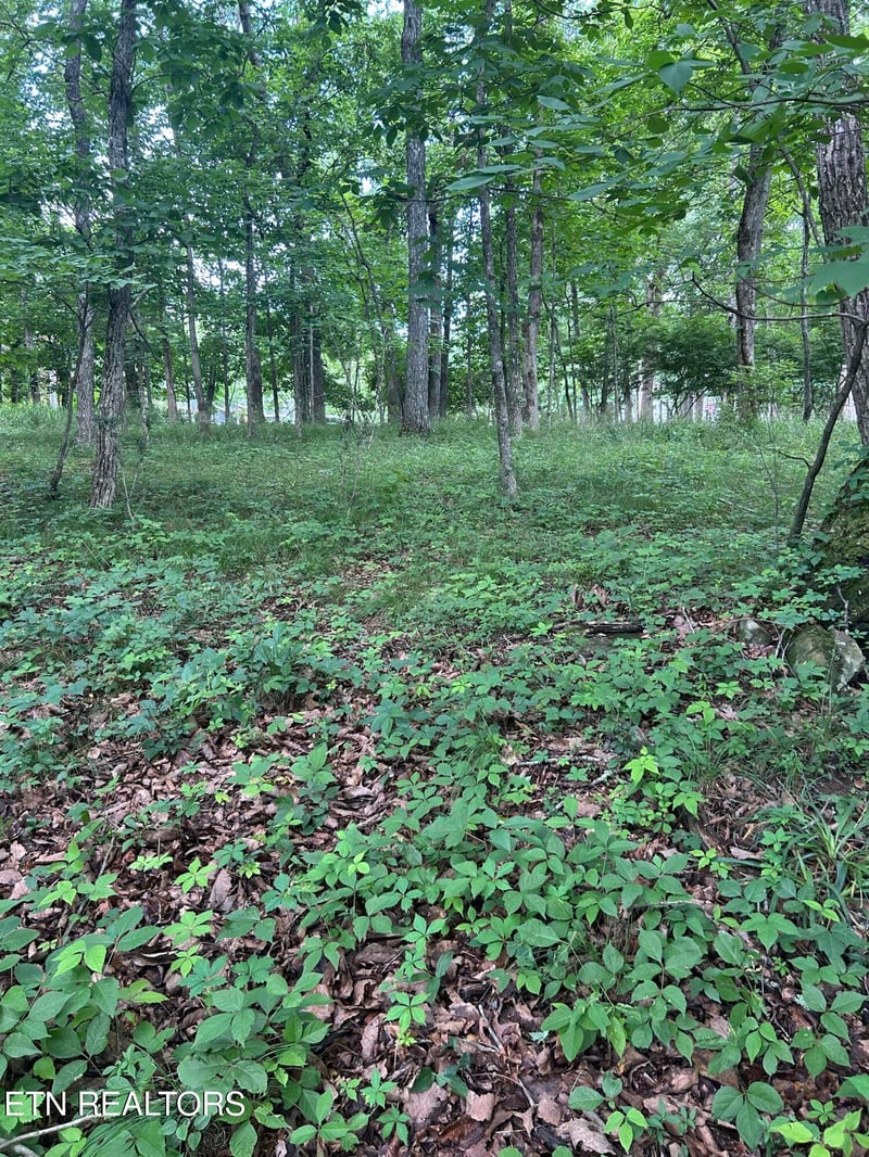 26 Rolling Green Ct, Fairfield Glade, TN 38558