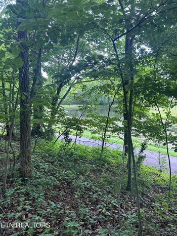 26 Rolling Green Ct, Fairfield Glade, TN 38558
