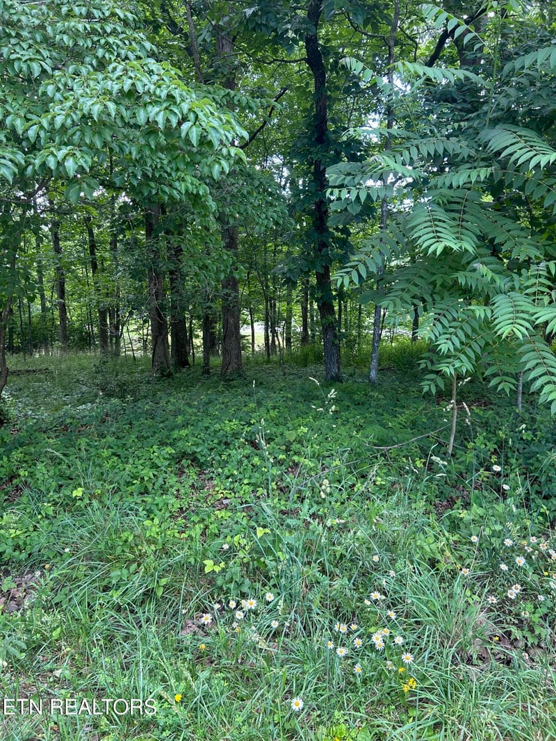 26 Rolling Green Ct, Fairfield Glade, TN 38558