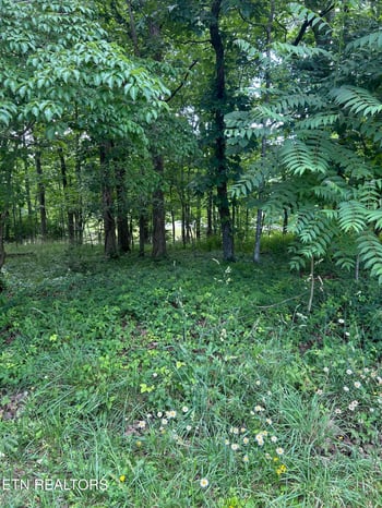26 Rolling Green Ct, Fairfield Glade, TN 38558