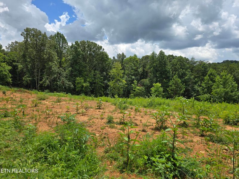 260 Wells Rd, Powell, TN 37849