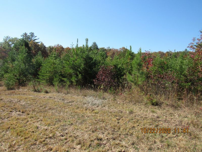 2607 Potters Chapel Rd, Lancing, TN 37770