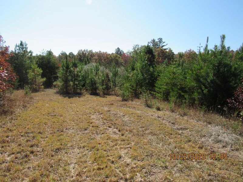 2607 Potters Chapel Rd, Lancing, TN 37770