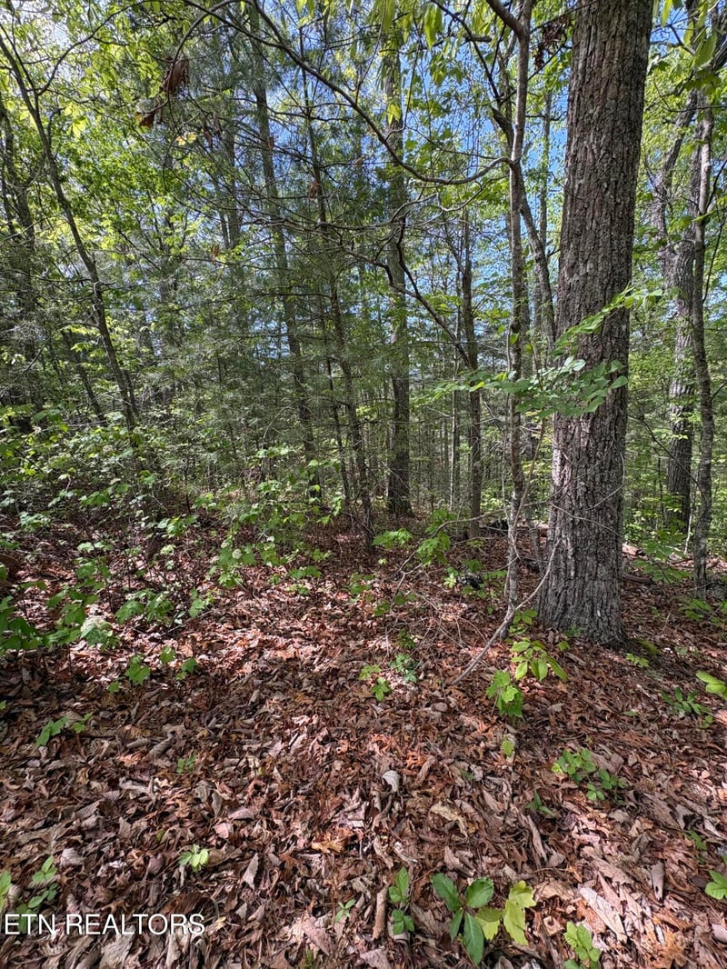 261 Mountain Retreat Rd, Townsend, TN 37882