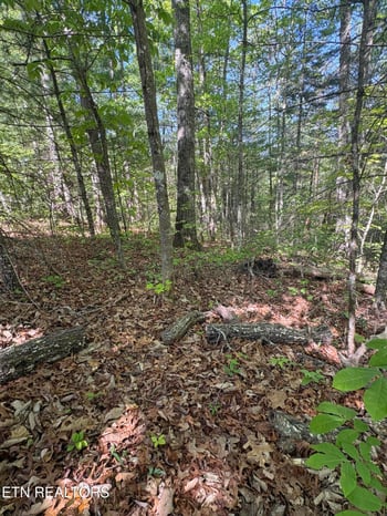 261 Mountain Retreat Rd, Townsend, TN 37882