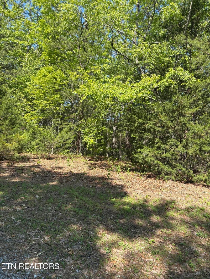 261 Mountain Retreat Rd, Townsend, TN 37882