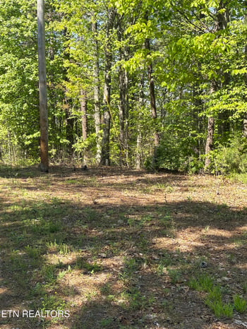 261 Mountain Retreat Rd, Townsend, TN 37882