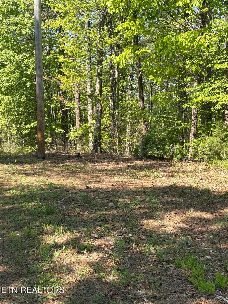 261 Mountain Retreat Rd, Townsend, TN 37882