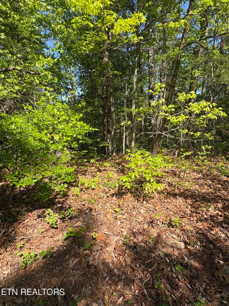 261 Mountain Retreat Rd, Townsend, TN 37882