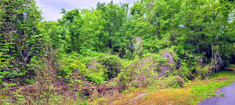 262 Ball Field Rd, Oakdale, TN 37829