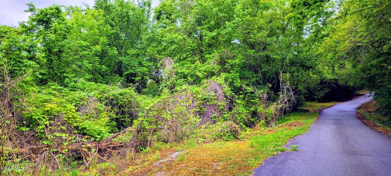 262 Ball Field Rd, Oakdale, TN 37829