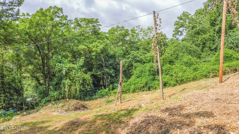 262 Ballfield Rd, Oakdale, TN 37829