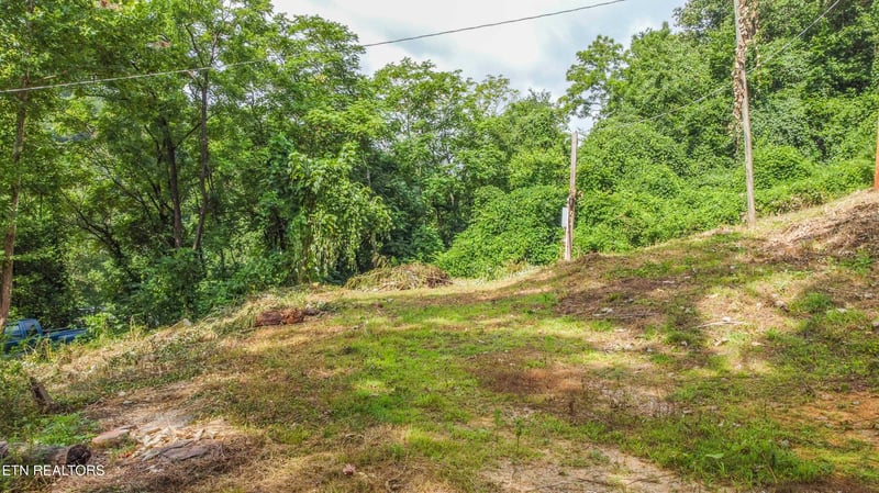 262 Ballfield Rd, Oakdale, TN 37829