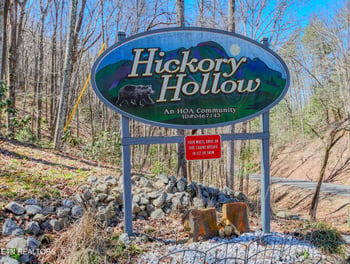 2621 Raccoon Hollow Way, Pigeon Forge, TN 37862