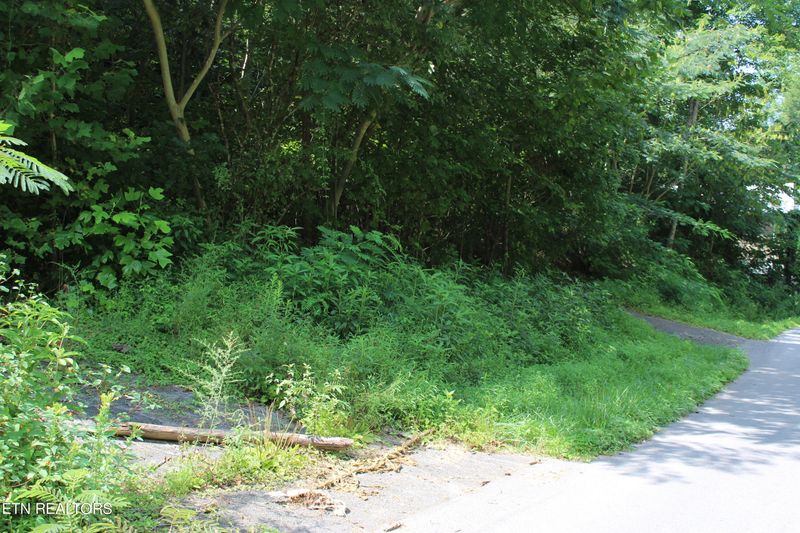 262264 Loop Rd, Gatlinburg, TN 37738