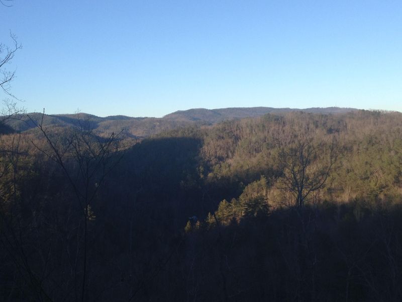 2629 Bird View Ln, Sevierville, TN 37862