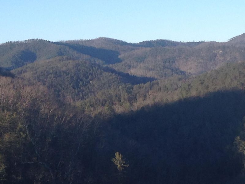 2629 Bird View Ln, Sevierville, TN 37862