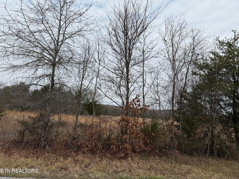 2630 River Rd, Kingston, TN 37763