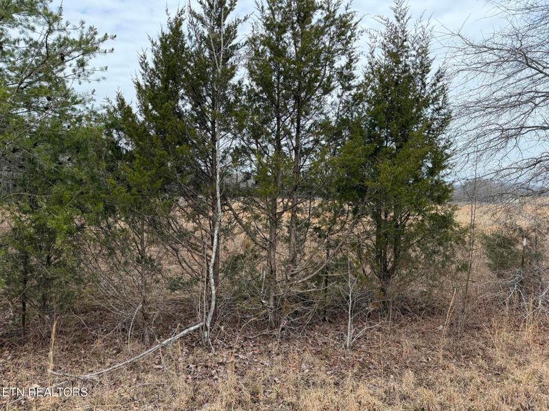 2630 River Rd, Kingston, TN 37763