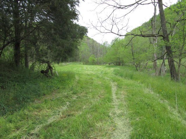 2634 Lays Gap Rd, Washburn, TN 37888