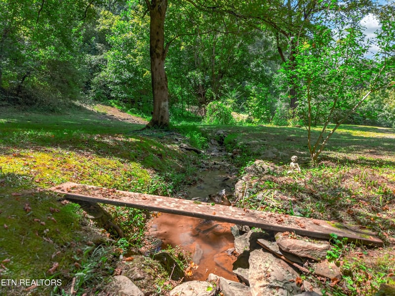 264 Beech Branch Rd, Gatlinburg, TN 37738