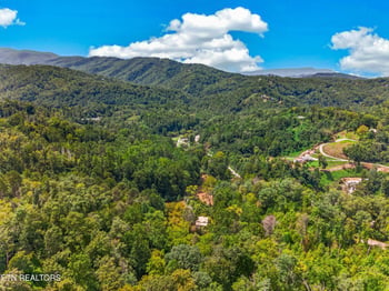 264 Beech Branch Rd, Gatlinburg, TN 37738