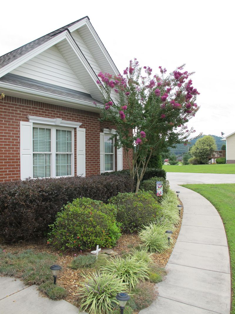 264 Deer Ridge Dr, Rutledge, TN 37861