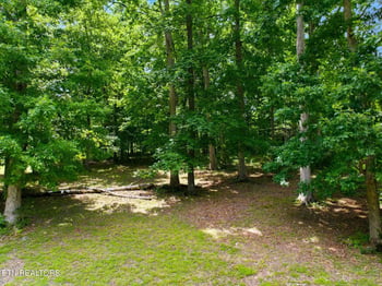 264 Woodhaven Dr, Vonore, TN 37885