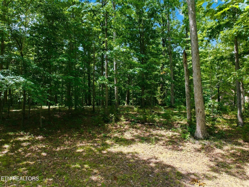 264 Woodhaven Dr, Vonore, TN 37885