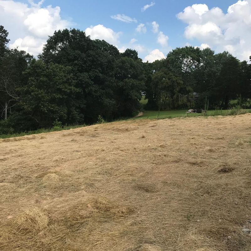 2642 Sharps Chapel Rd, Sharps Chapel, TN 37866