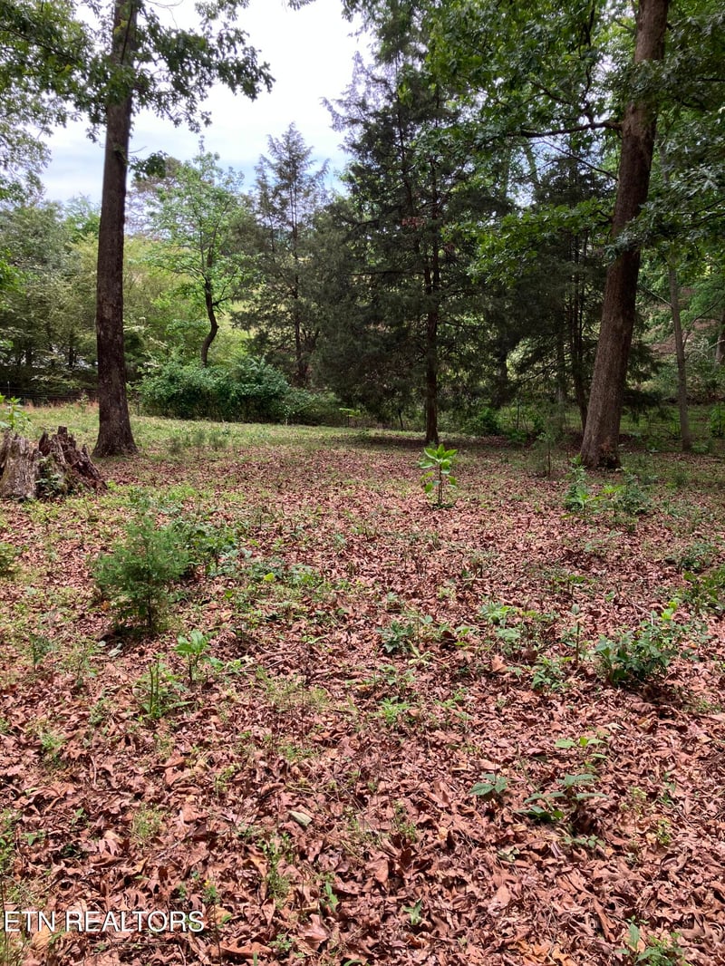26450 Stockton Valley Rd, Philadelphia, TN 37846