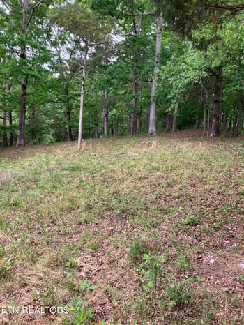26450 Stockton Valley Rd, Philadelphia, TN 37846