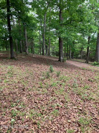 26450 Stockton Valley Rd, Philadelphia, TN 37846