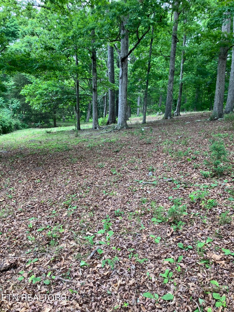 26450 Stockton Valley Rd, Philadelphia, TN 37846