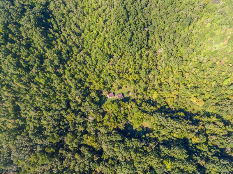 265 Braden Rd, Speedwell, TN 37870