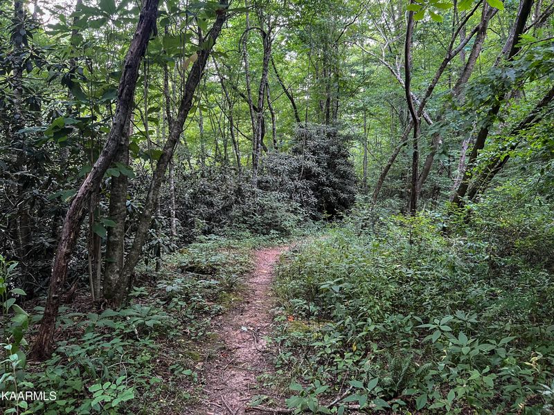 265 Frost Bottom Rd, Oliver Springs, TN 37840