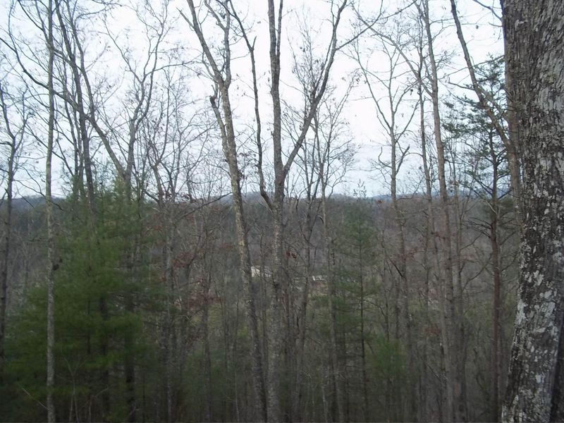 265 Mountain Retreat Rd, Townsend, TN 37882
