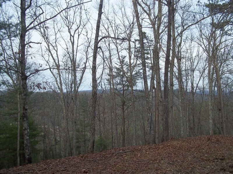 265 Mountain Retreat Rd, Townsend, TN 37882