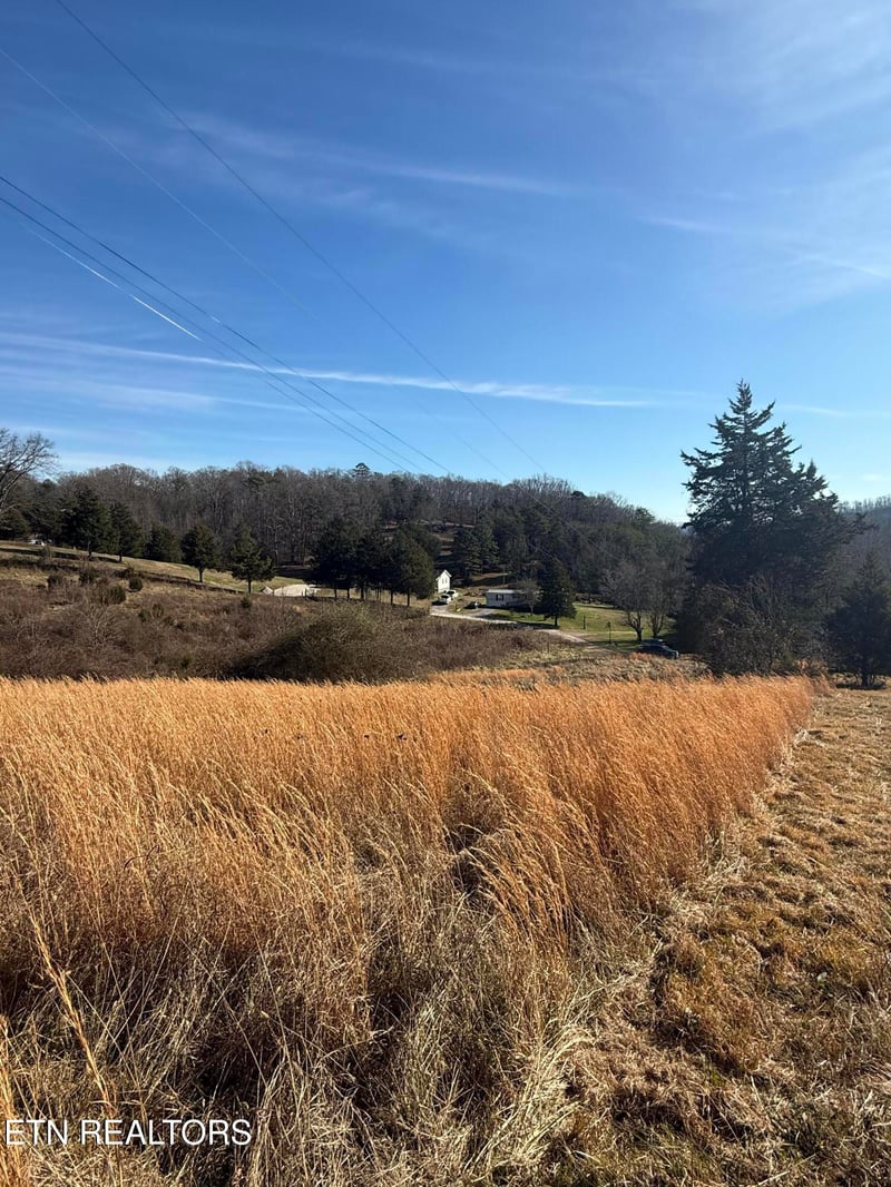 267 Chestnut Ridge Rd, Andersonville, TN 37705