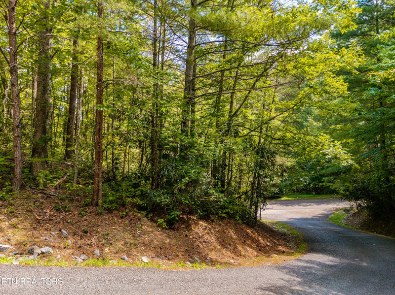 267 Cobblestone Way, Townsend, TN 37882