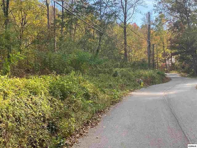 267 Loop Rd, Gatlinburg, TN 37738